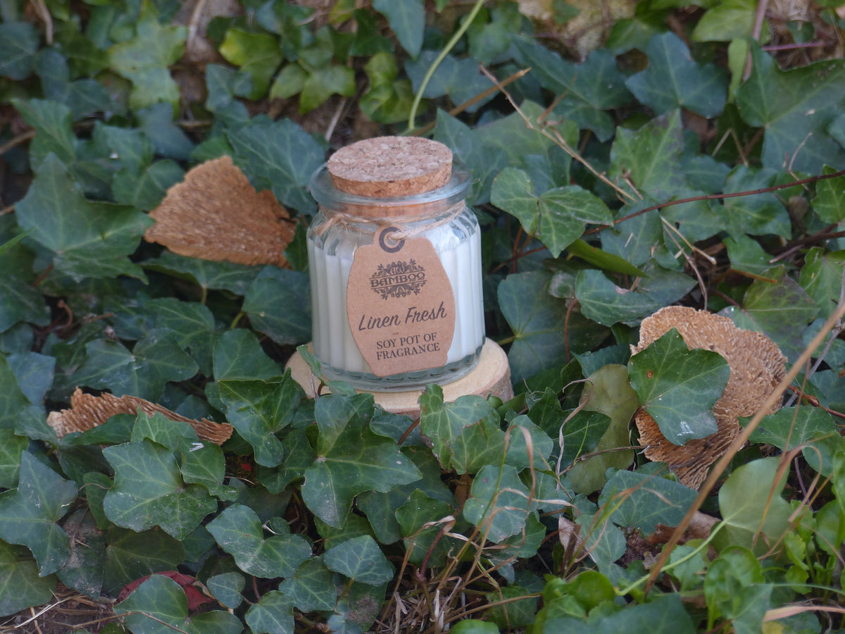 Fleur de Coton • Pureté & Réconfort