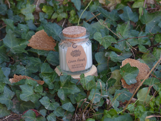 Fleur de Coton • Pureté & Réconfort