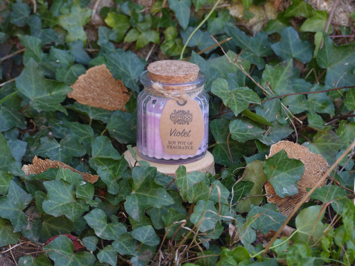 Violette • Mystère & Intuition