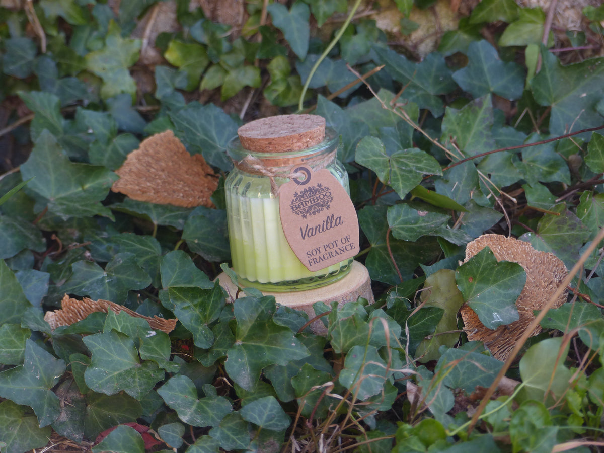 Vanille • Apaisement & Gourmandise