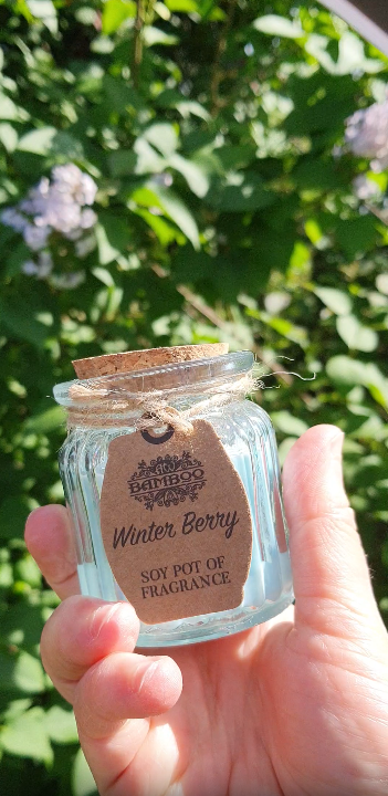 Bougie Winter Berry